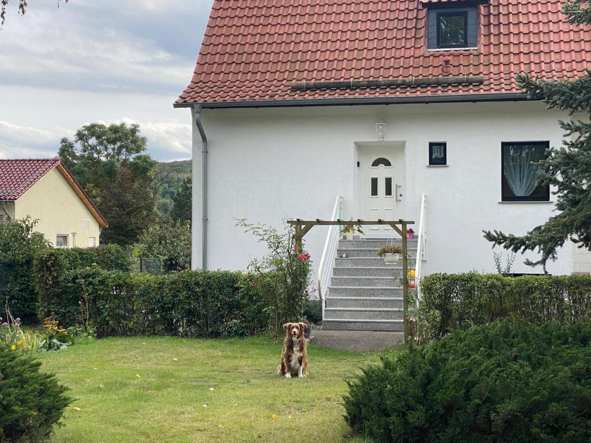 Am Muehlgraben *