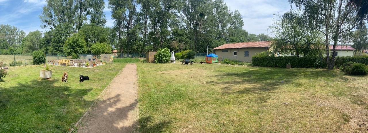 Am Muehlgraben Apartment Thale